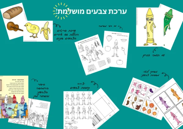 ⁦ערכת משפחת צבעוני מושלמת במבצע⁩ – תמונה ⁦2⁩