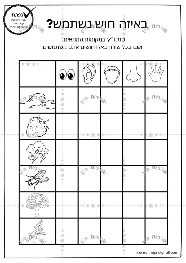 דף משימה באיזה חוש נשתמש?