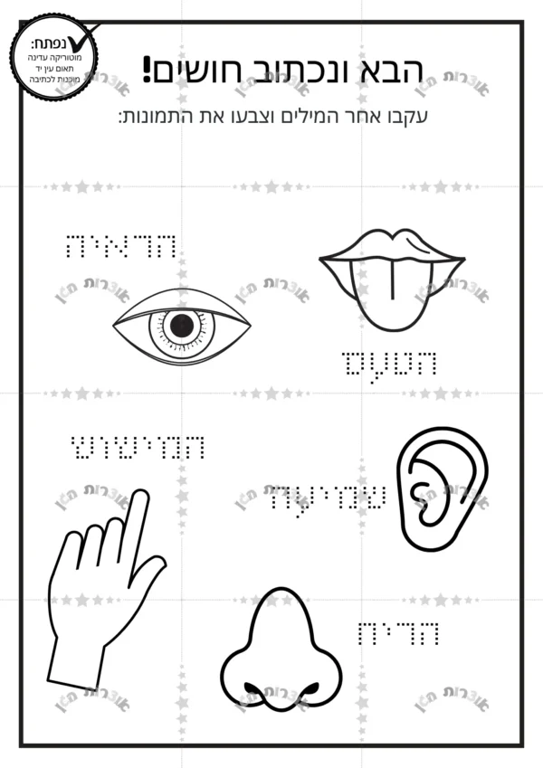 דף משימה- הבא ונכתוב חושים