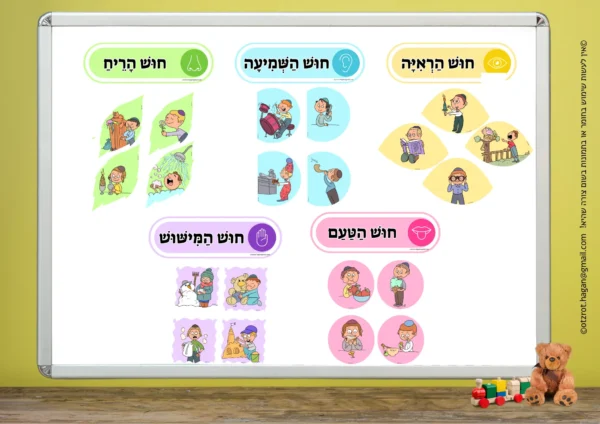קיר תוכן חמשת החושים